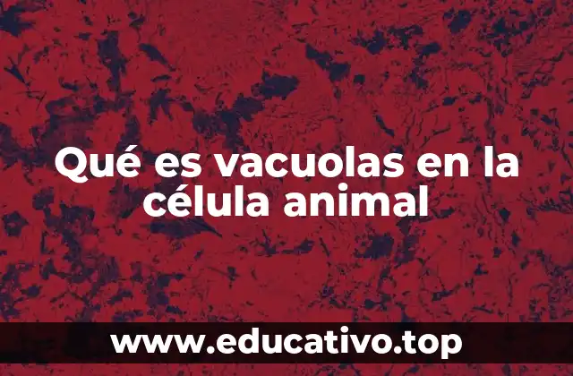 Qué es vacuolas en la célula animal