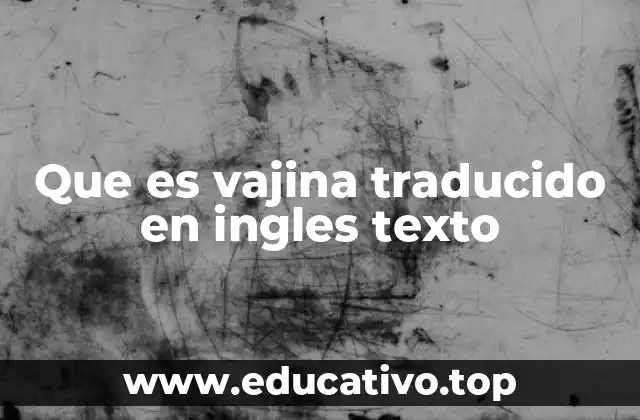 Que es vajina traducido en ingles texto