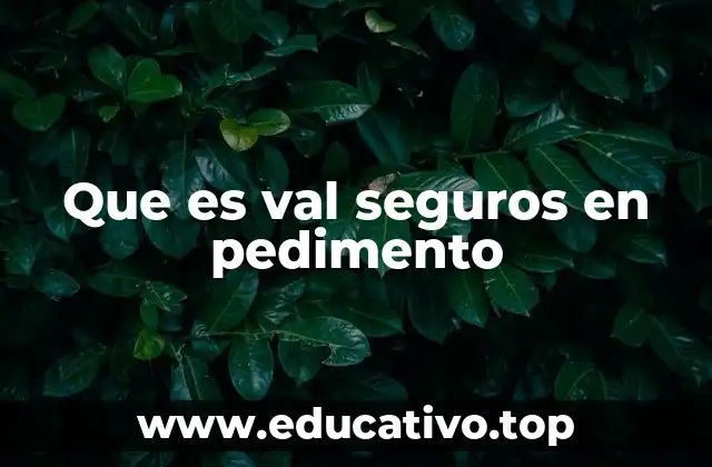 Que es val seguros en pedimento