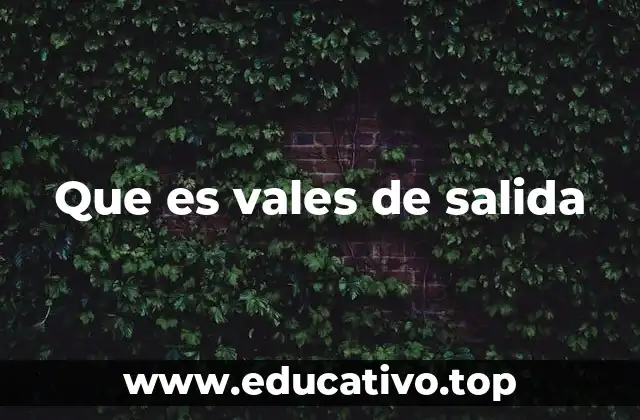 Que es vales de salida