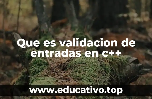 Que es validacion de entradas en c++