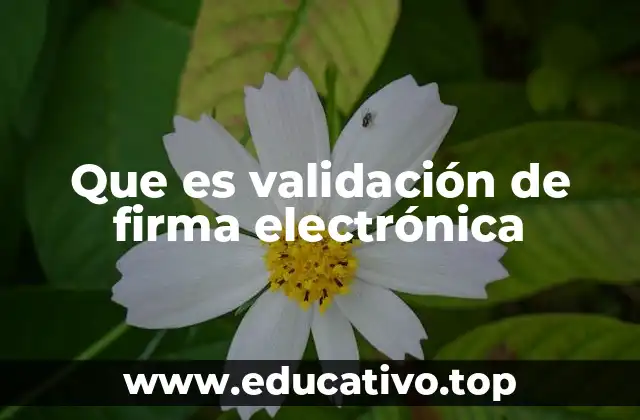 Que es validación de firma electrónica