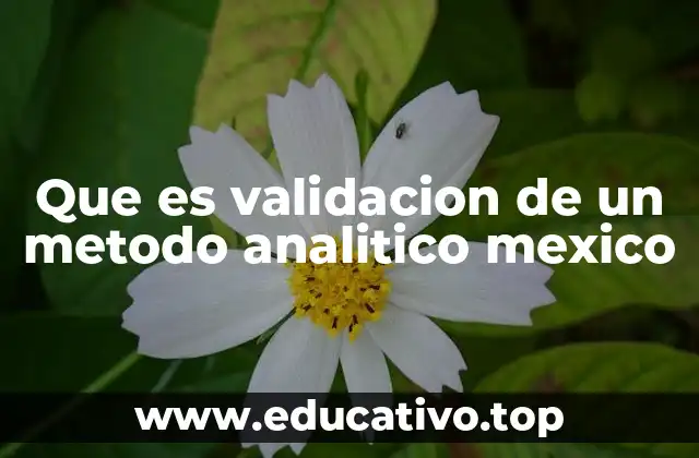 Cómo se aplica la validación de métodos en laboratorios mexicanos