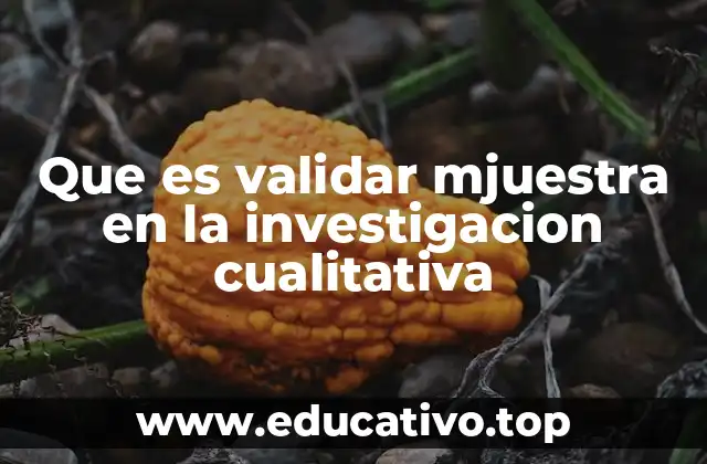 Que es validar mjuestra en la investigacion cualitativa