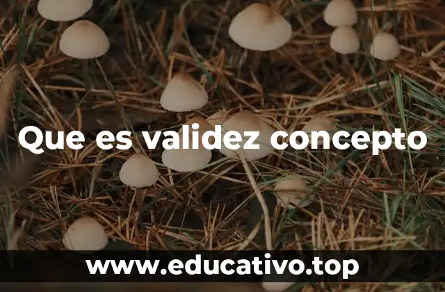 Que es validez concepto