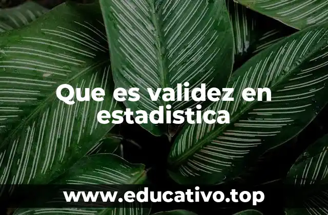 Que es validez en estadistica