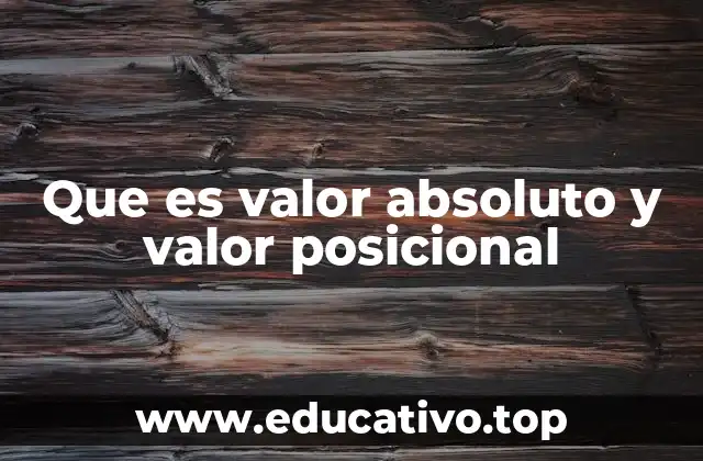 Que es valor absoluto y valor posicional