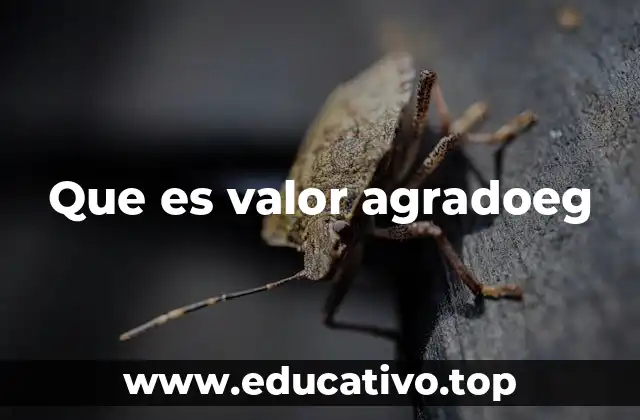 Que es valor agradoeg