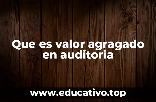 Que es valor agragado en auditoria