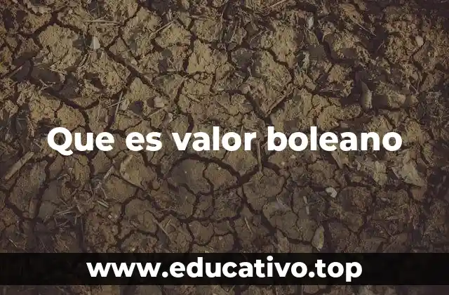 Que es valor boleano