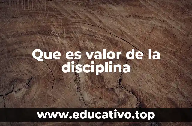 Que es valor de la disciplina