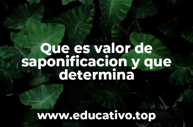 Que es valor de saponificacion y que determina