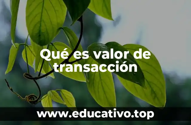 Qué es valor de transacción