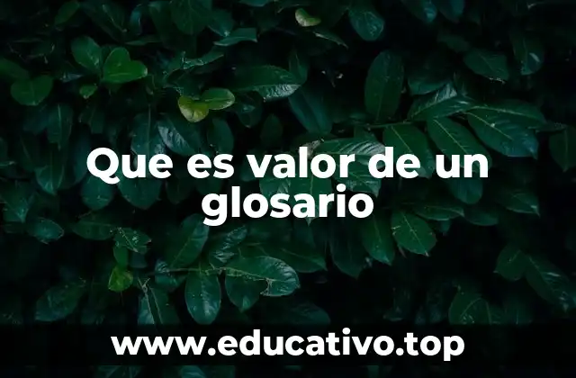Que es valor de un glosario