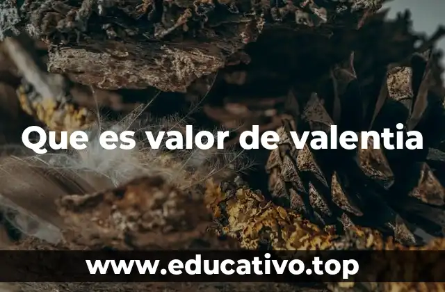 Que es valor de valentia