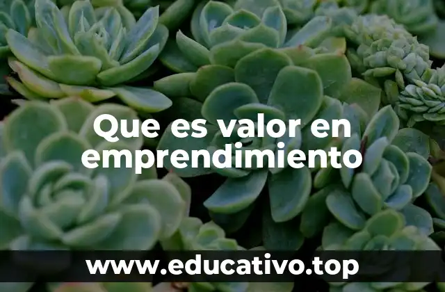Que es valor en emprendimiento