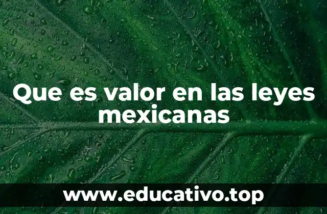 Que es valor en las leyes mexicanas