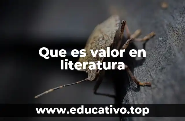Que es valor en literatura