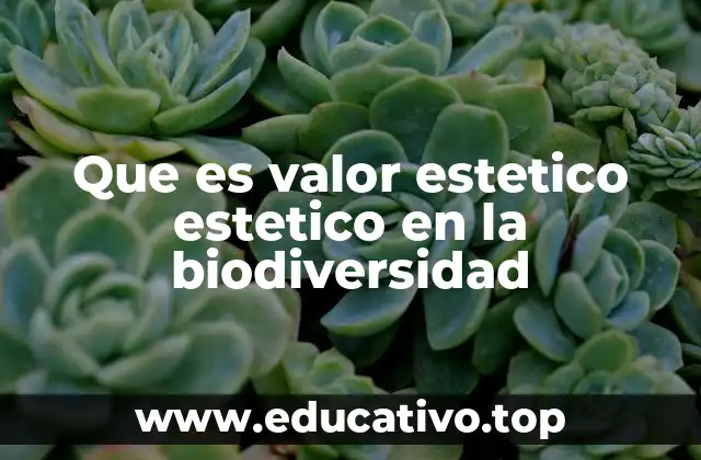 Que es valor estetico estetico en la biodiversidad