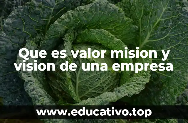 Que es valor mision y vision de una empresa