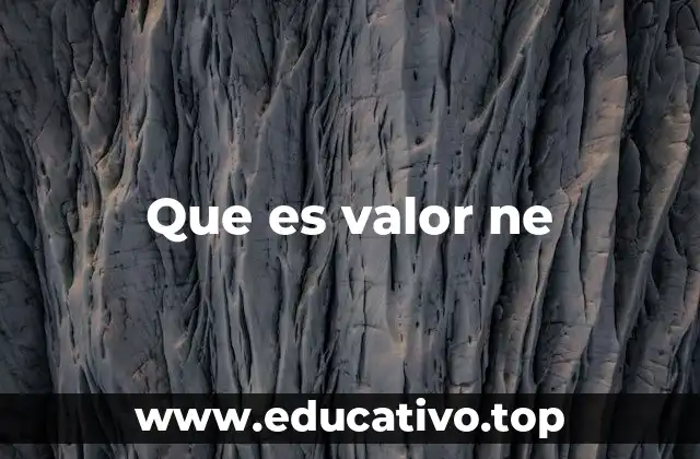 Que es valor ne