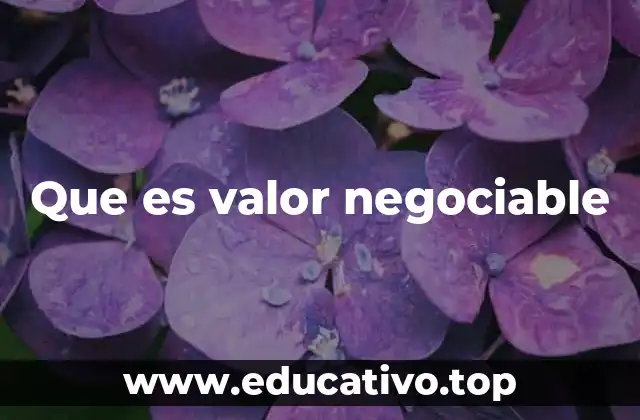 Que es valor negociable