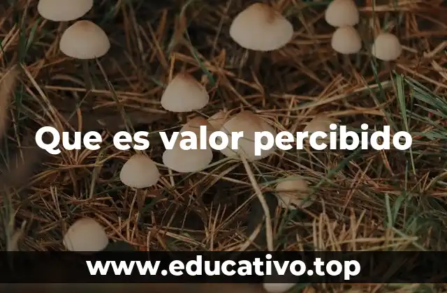 Que es valor percibido