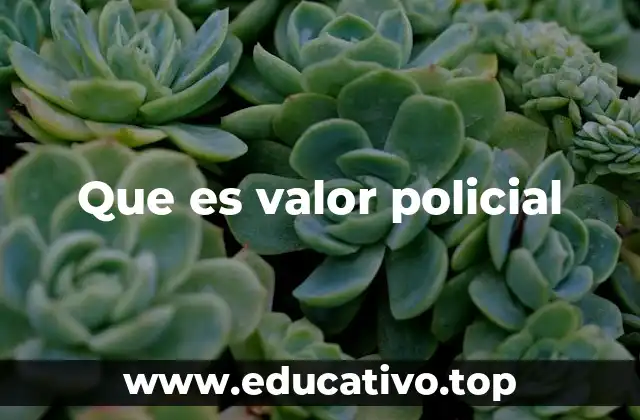 Que es valor policial