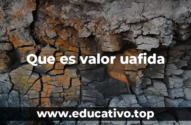Que es valor uafida