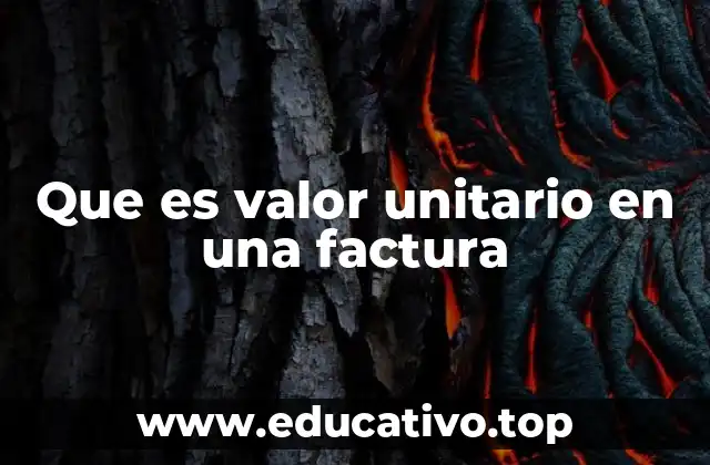 Que es valor unitario en una factura