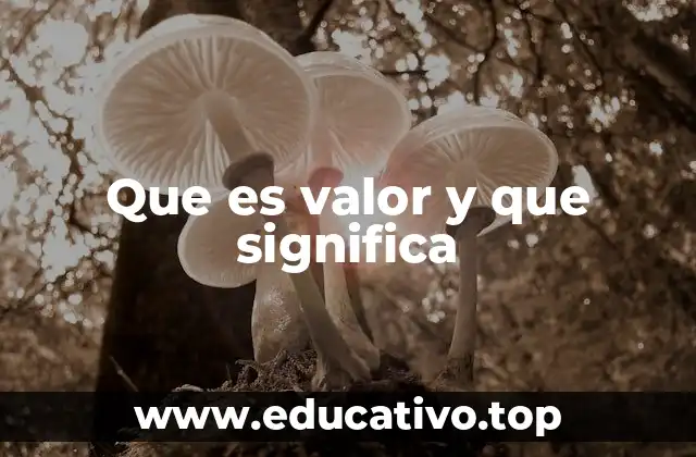 Que es valor y que significa