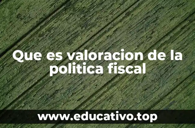Que es valoracion de la politica fiscal