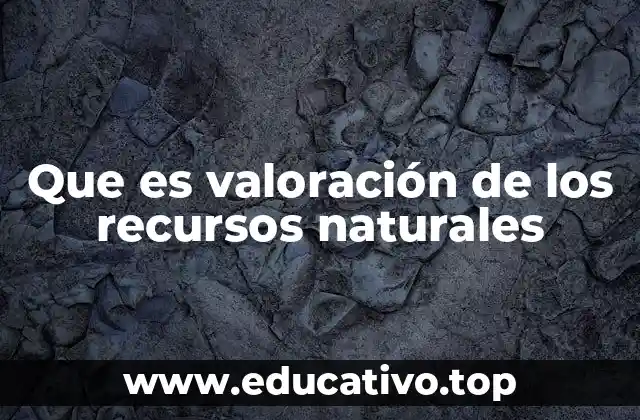Que es valoración de los recursos naturales