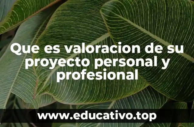 Que es valoracion de su proyecto personal y profesional