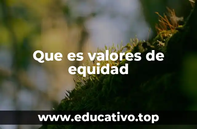 Que es valores de equidad
