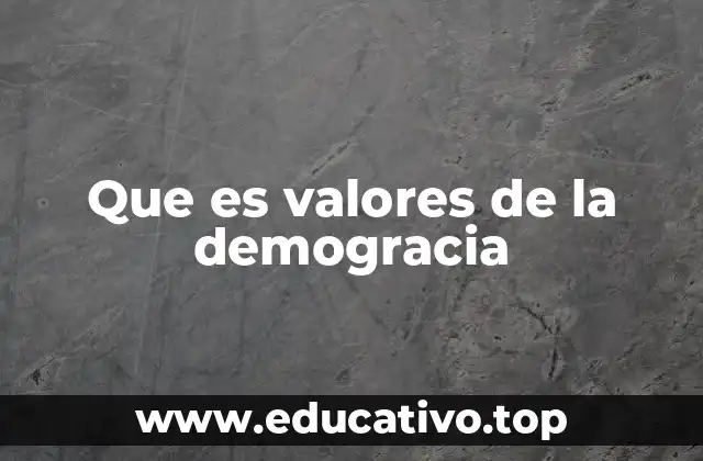 Que es valores de la demogracia