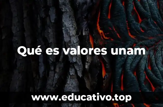 Qué es valores unam