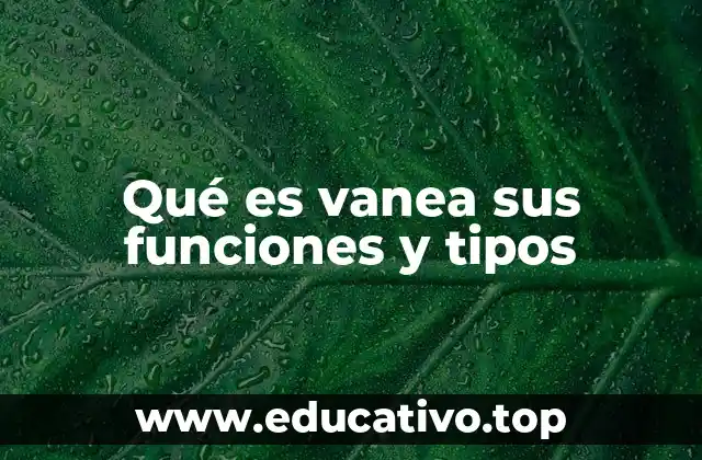 Qué es vanea sus funciones y tipos