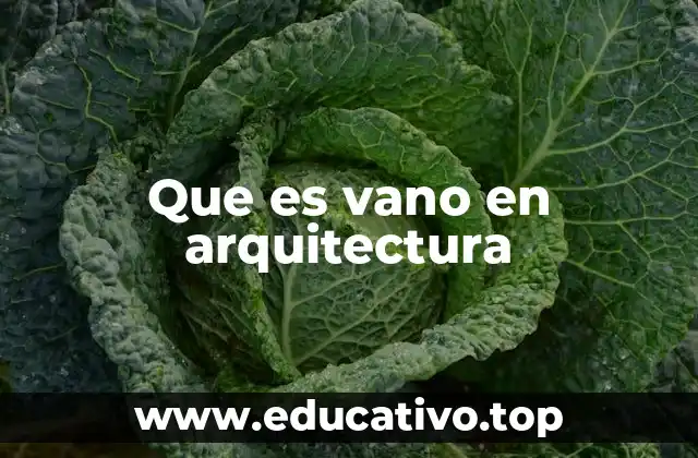 Que es vano en arquitectura