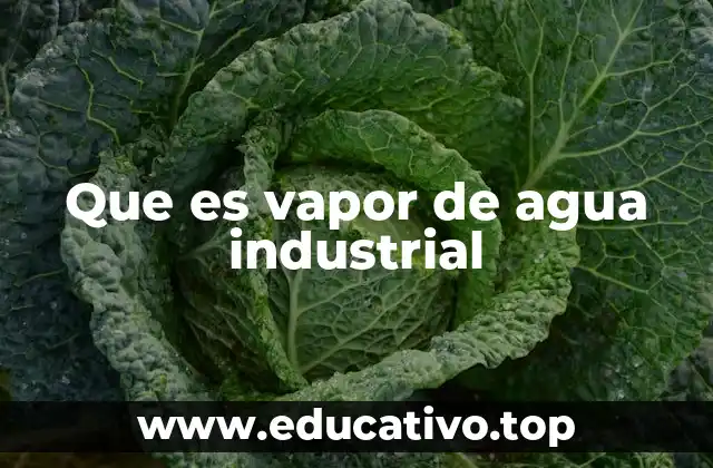 Que es vapor de agua industrial