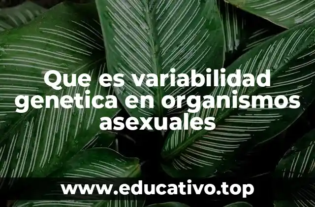 Que es variabilidad genetica en organismos asexuales