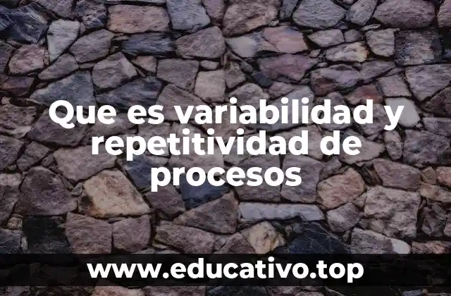 Que es variabilidad y repetitividad de procesos