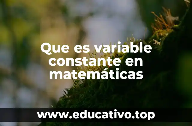 Que es variable constante en matemáticas