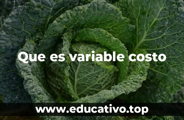 Que es variable costo