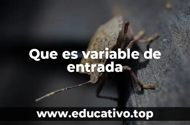 Que es variable de entrada