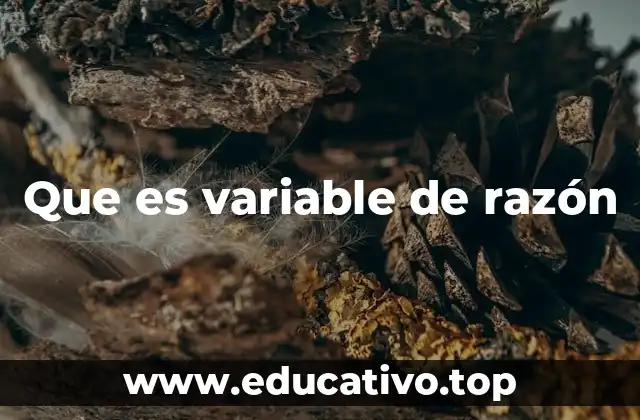 Que es variable de razón