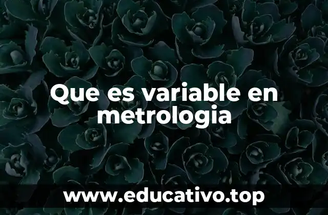 Que es variable en metrologia