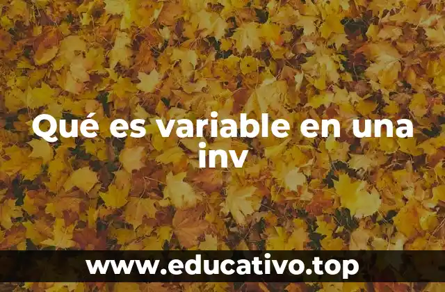 Qué es variable en una inv