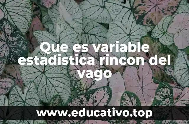 Que es variable estadistica rincon del vago