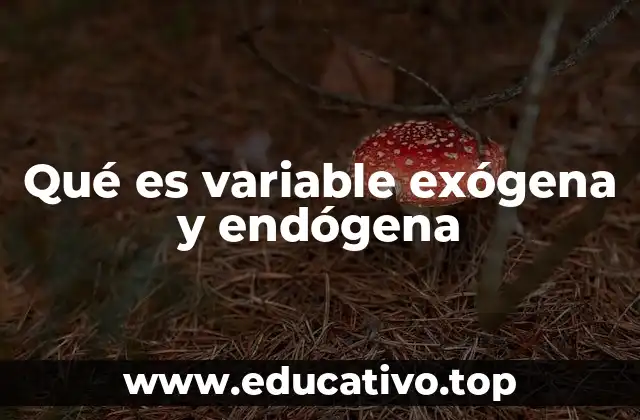 Qué es variable exógena y endógena